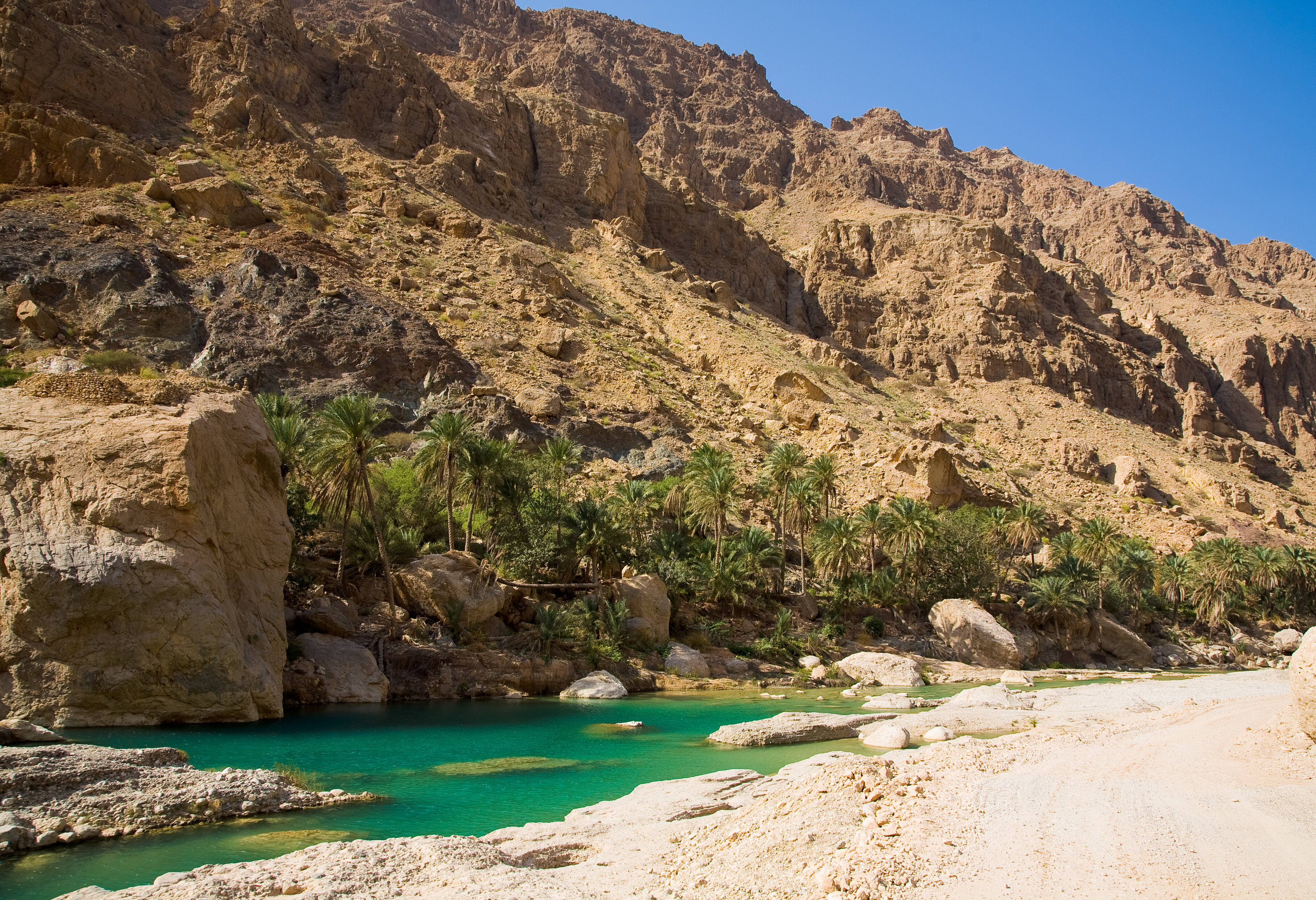 Oman Wadi Tiwi Oase