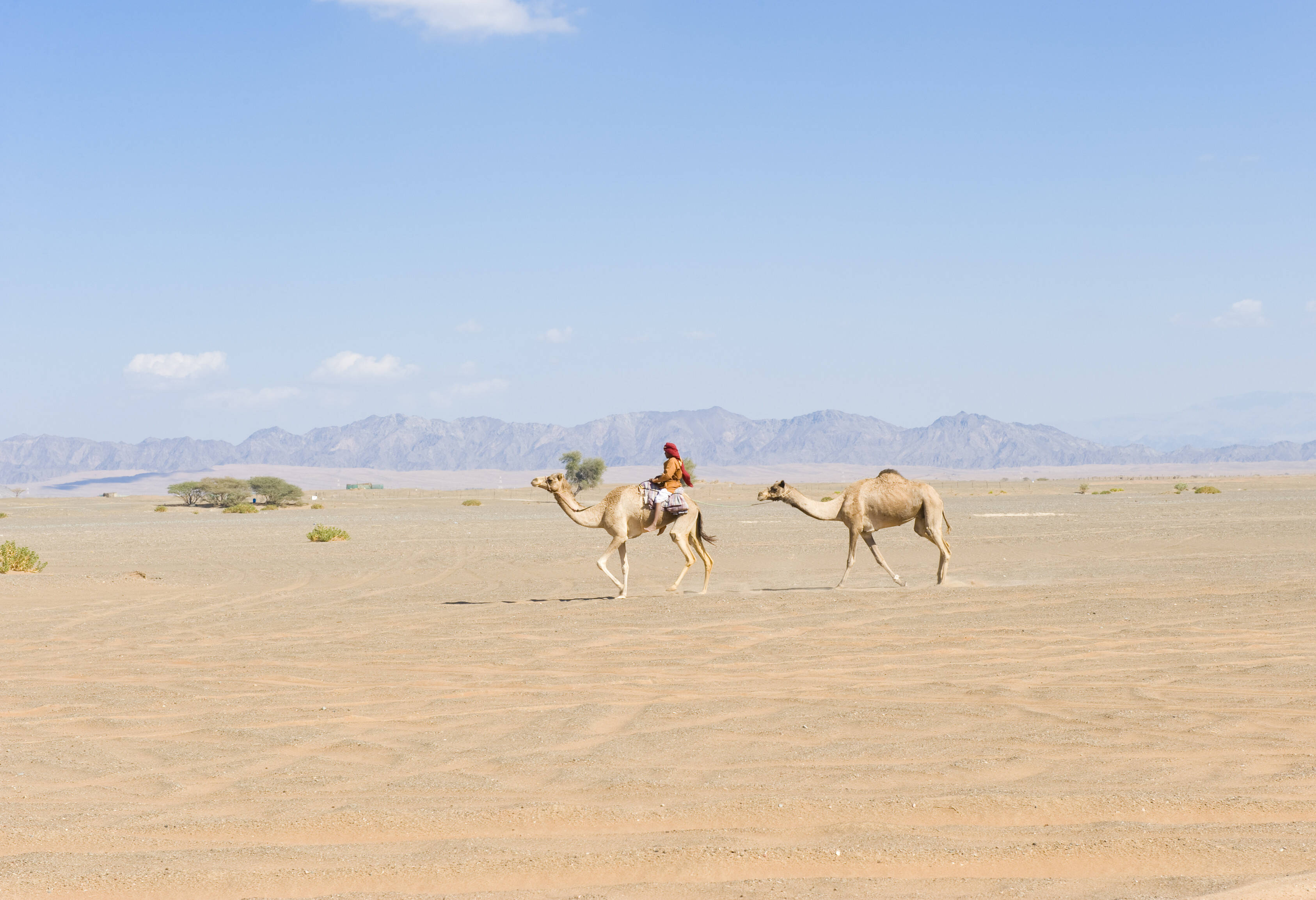 Oman Wahiba Sands Bedoiene
