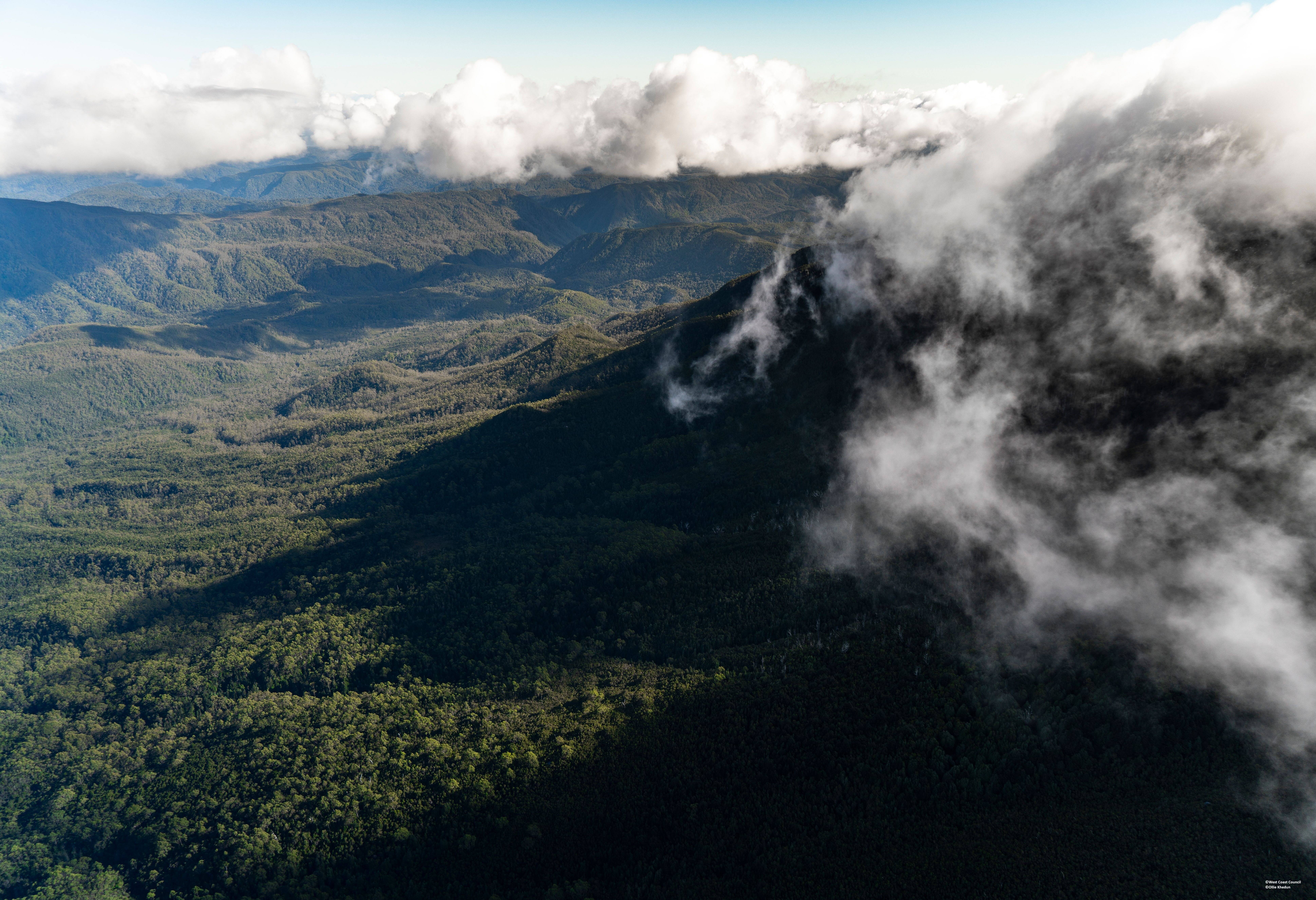 Franklin Gordon Wild Rivers National Park in Tasmania in Australie