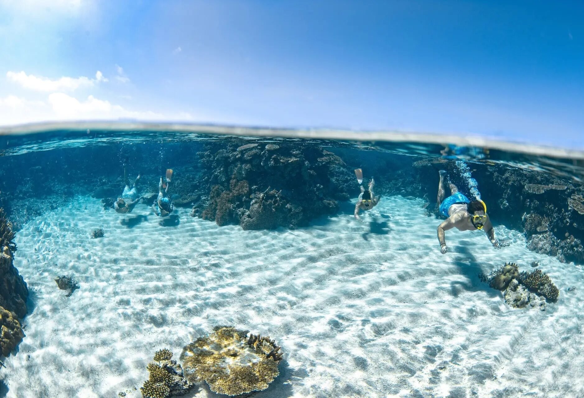 Snorkelen in het Great Barrier Reef met Silverswift in Australie