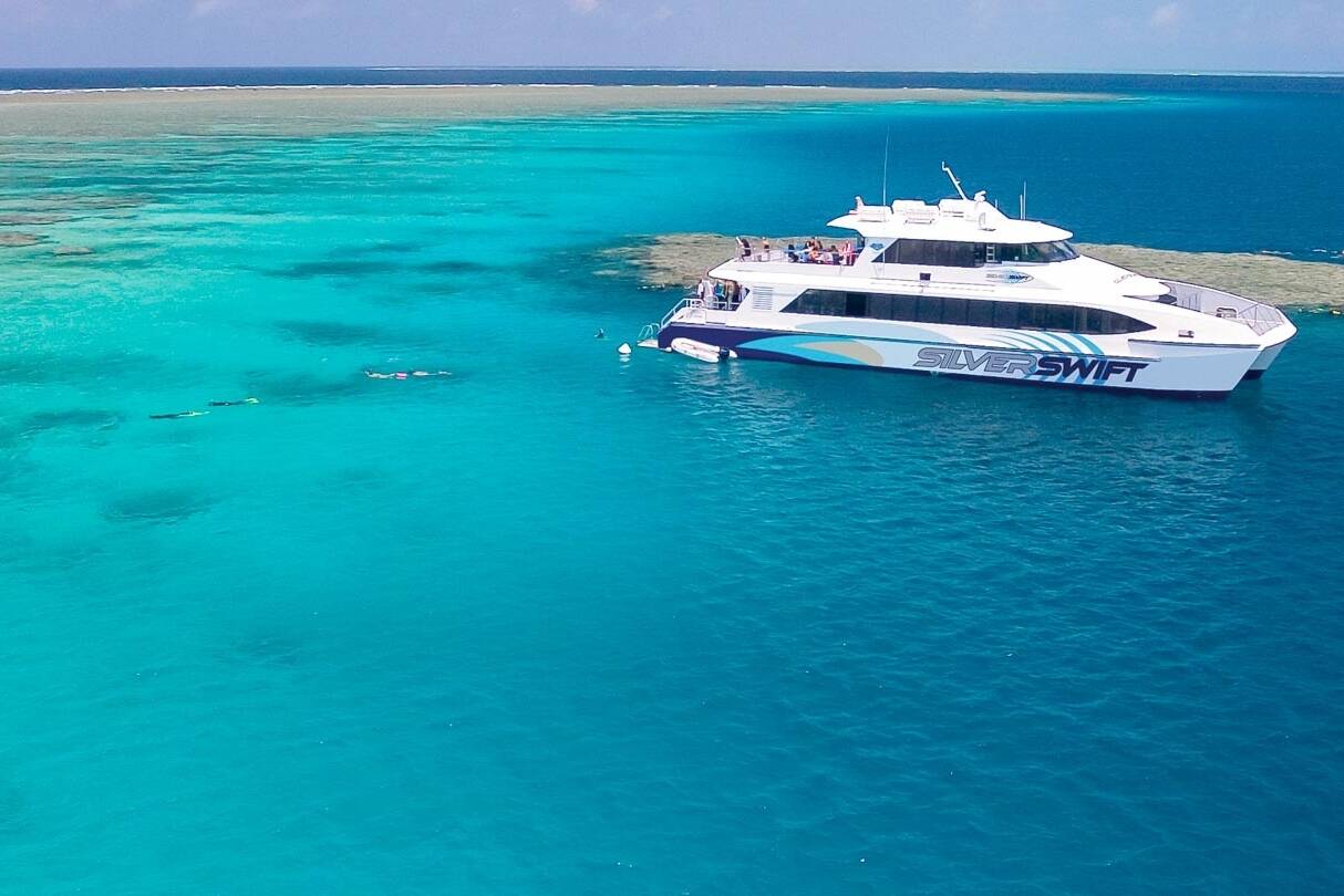 Snorkelen in het Great Barrier Reef met Silverswift in Australie