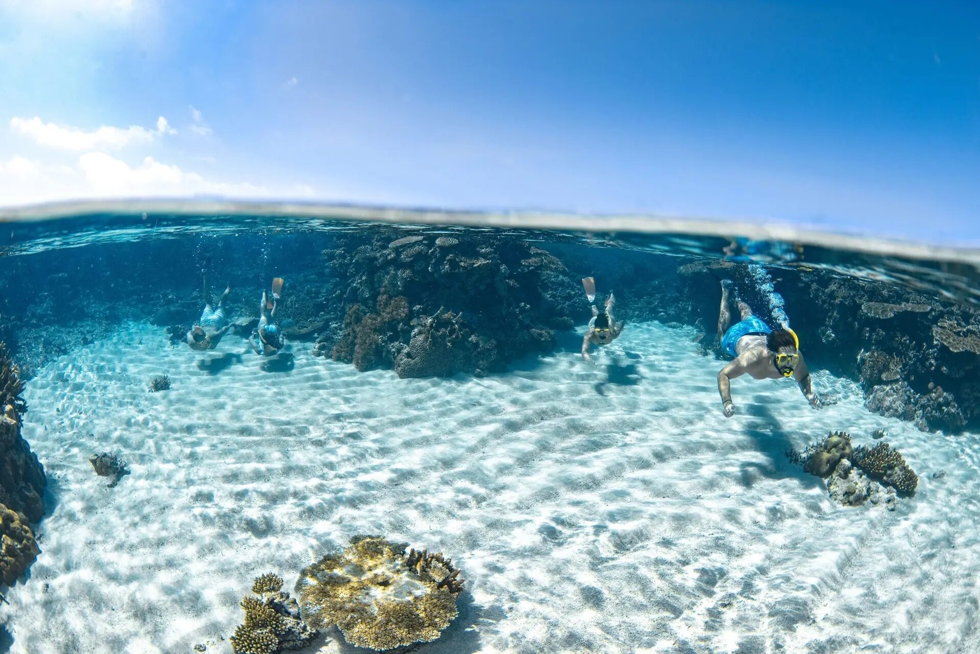 Snorkelen in het Great Barrier Reef met Silverswift in Australie