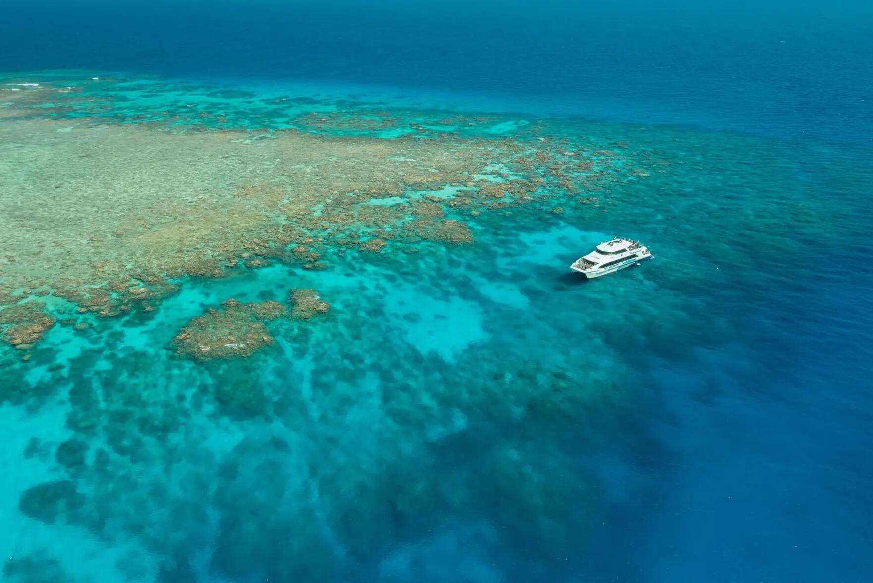 Snorkelen in het Great Barrier Reef met Silverswift in Australie