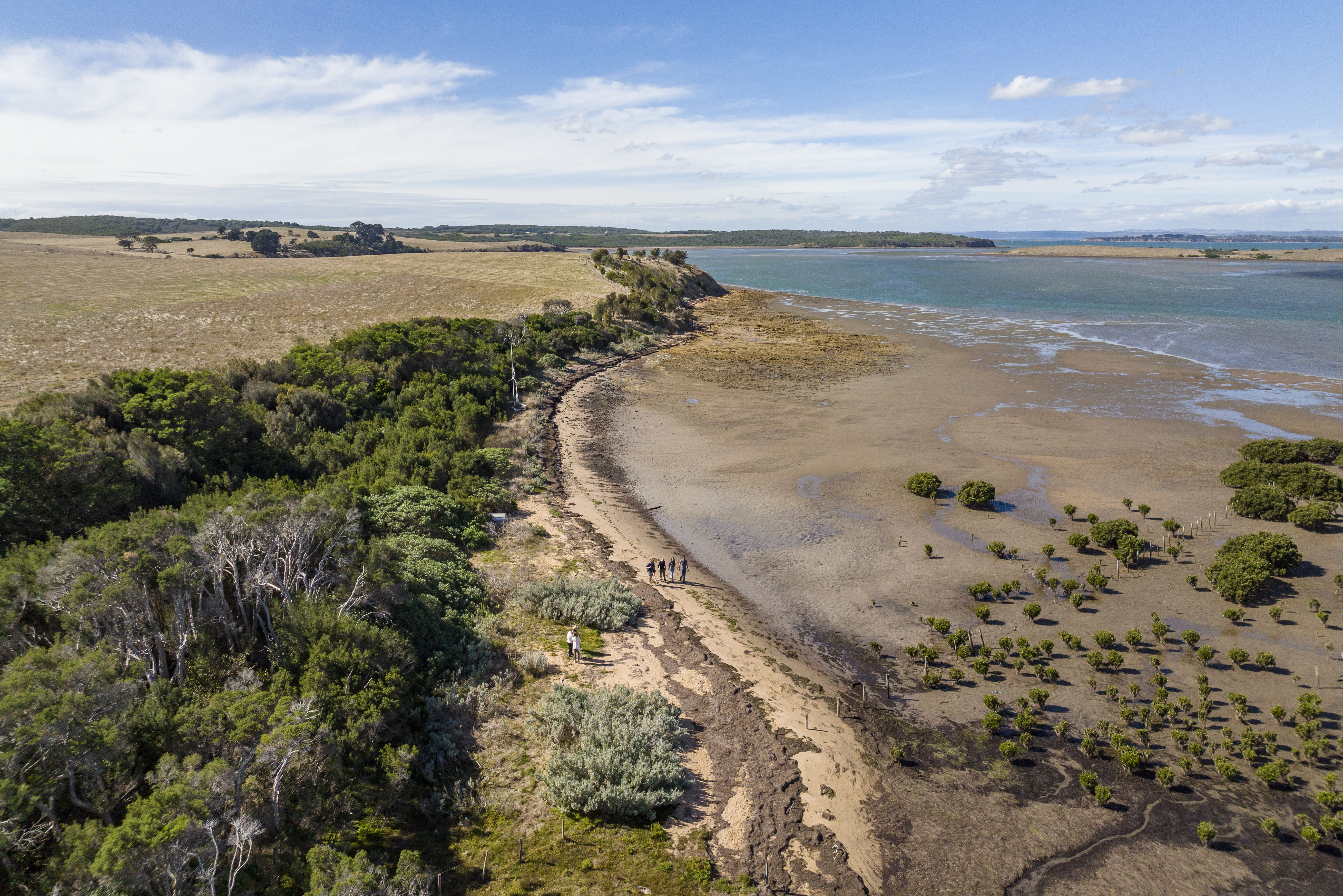 Waterrijk landschap op French Island in Australie