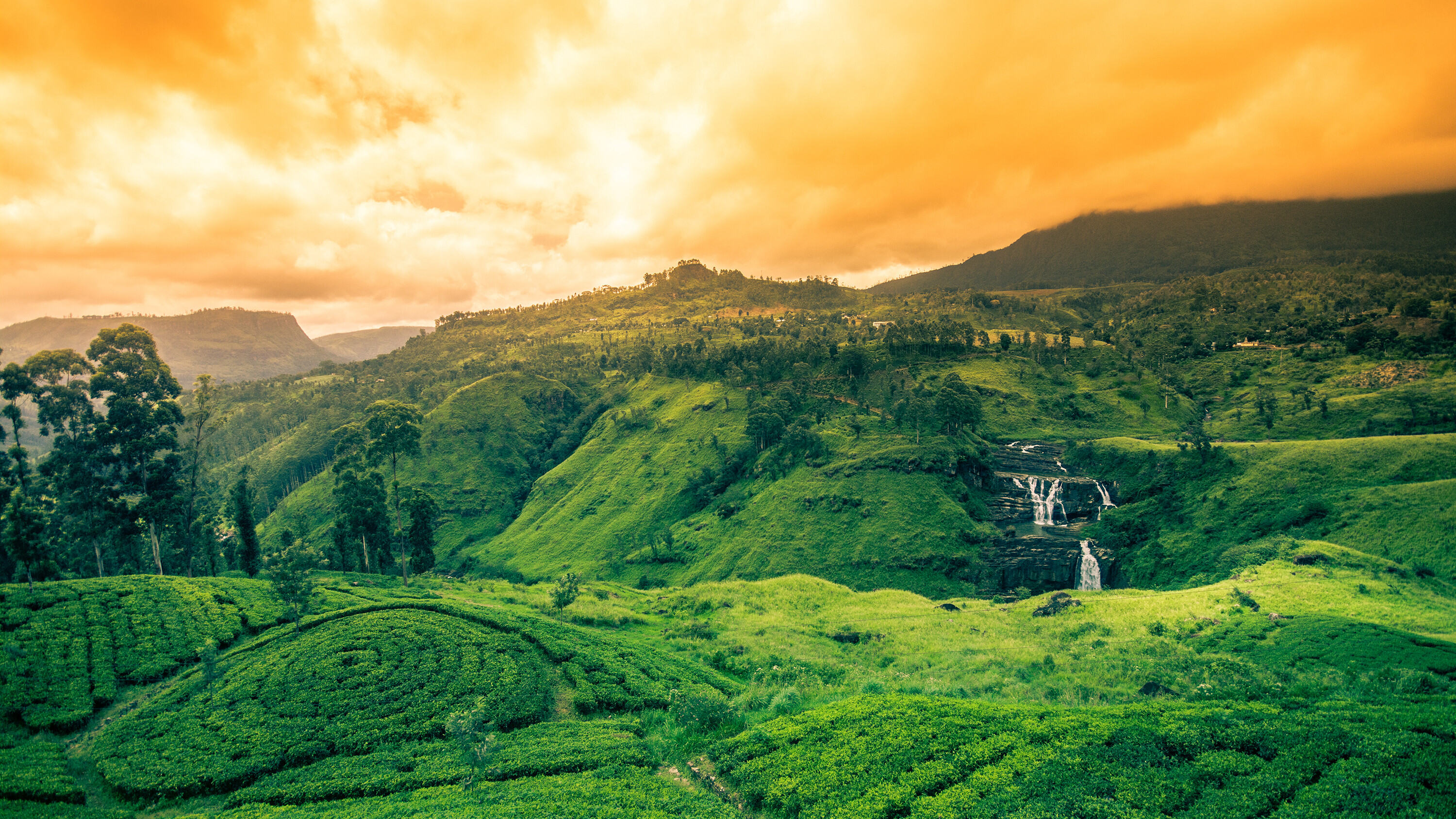 Sri Lanka - Nuwara Eliya