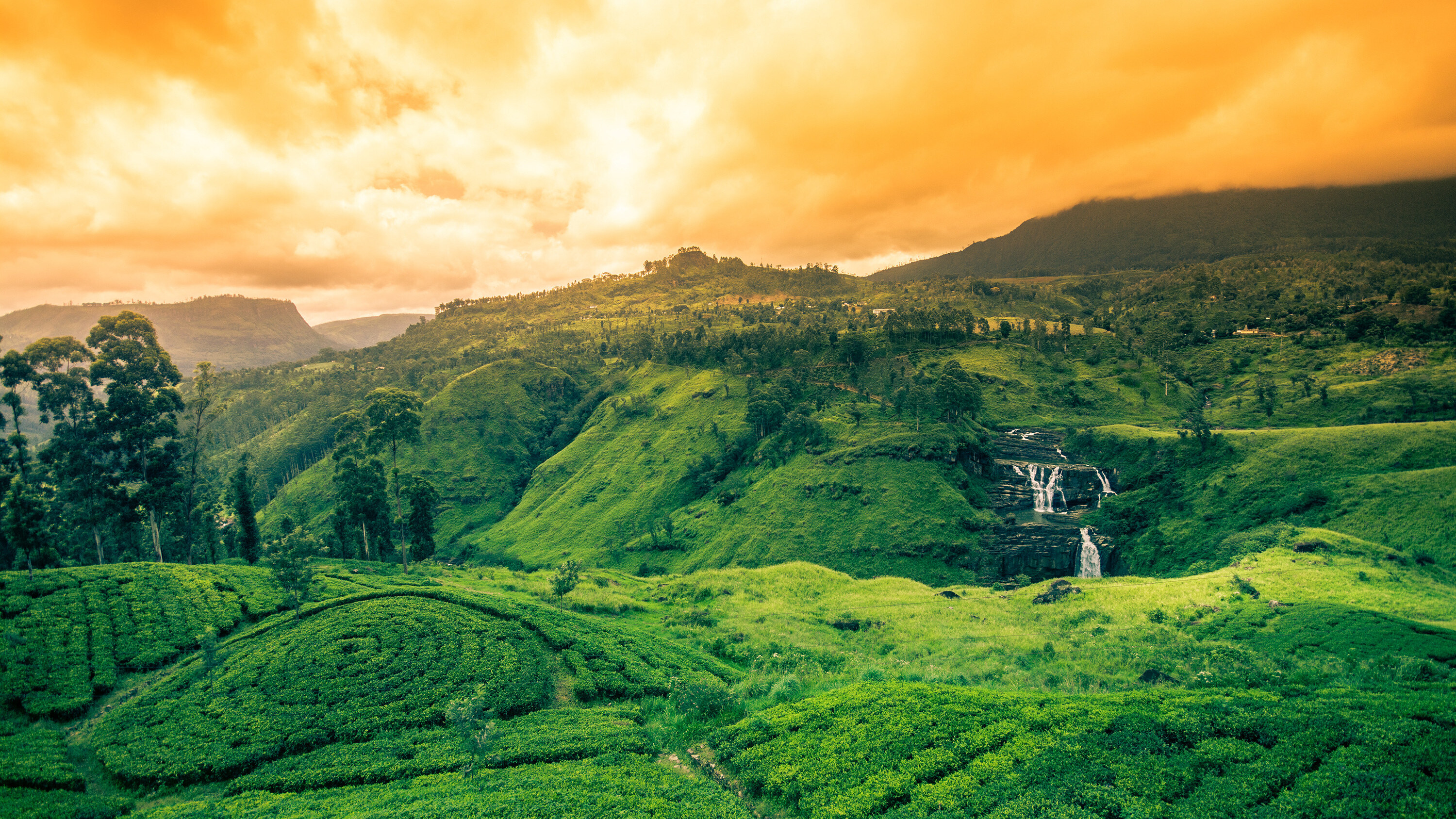 Sri Lanka - Nuwara Eliya