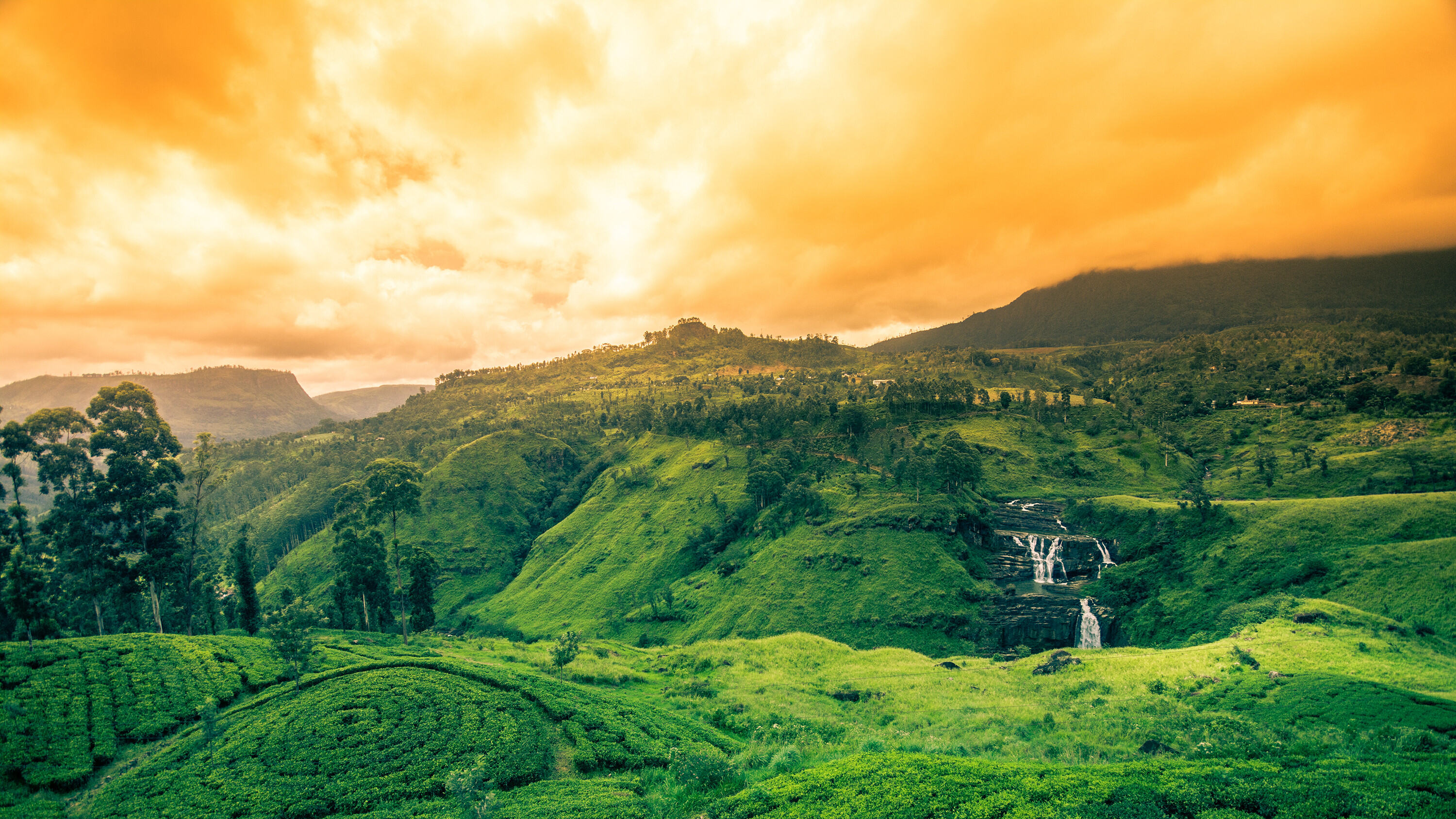 Sri Lanka - Nuwara Eliya