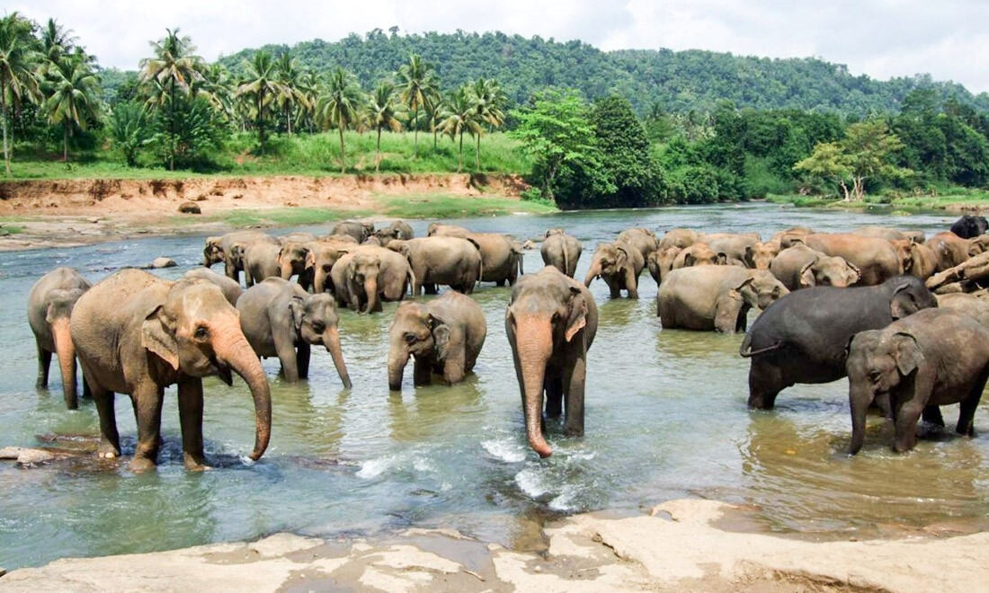 Sri Lanka