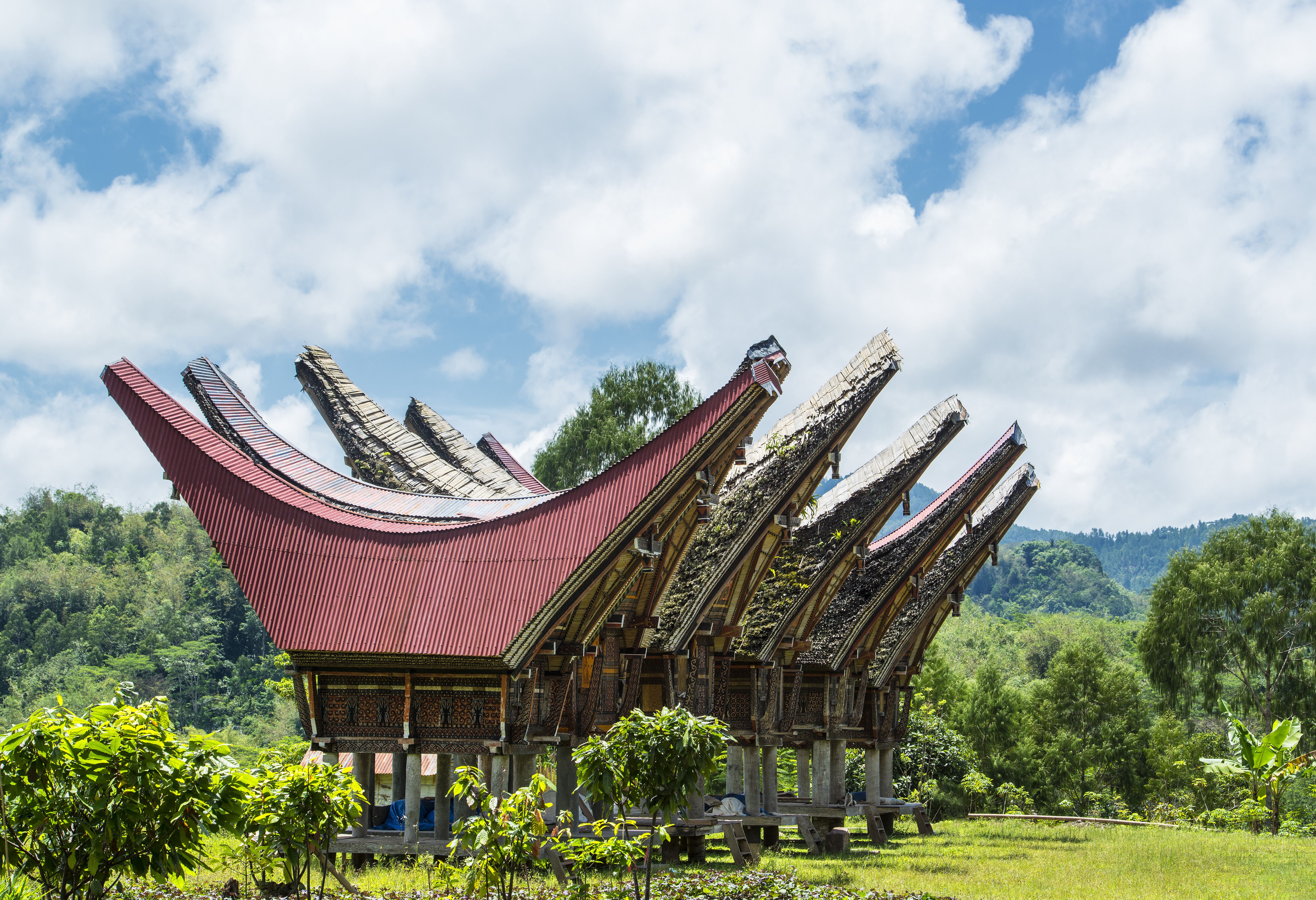 Indonesie Sulawasi Traditionele Toraja Huizen