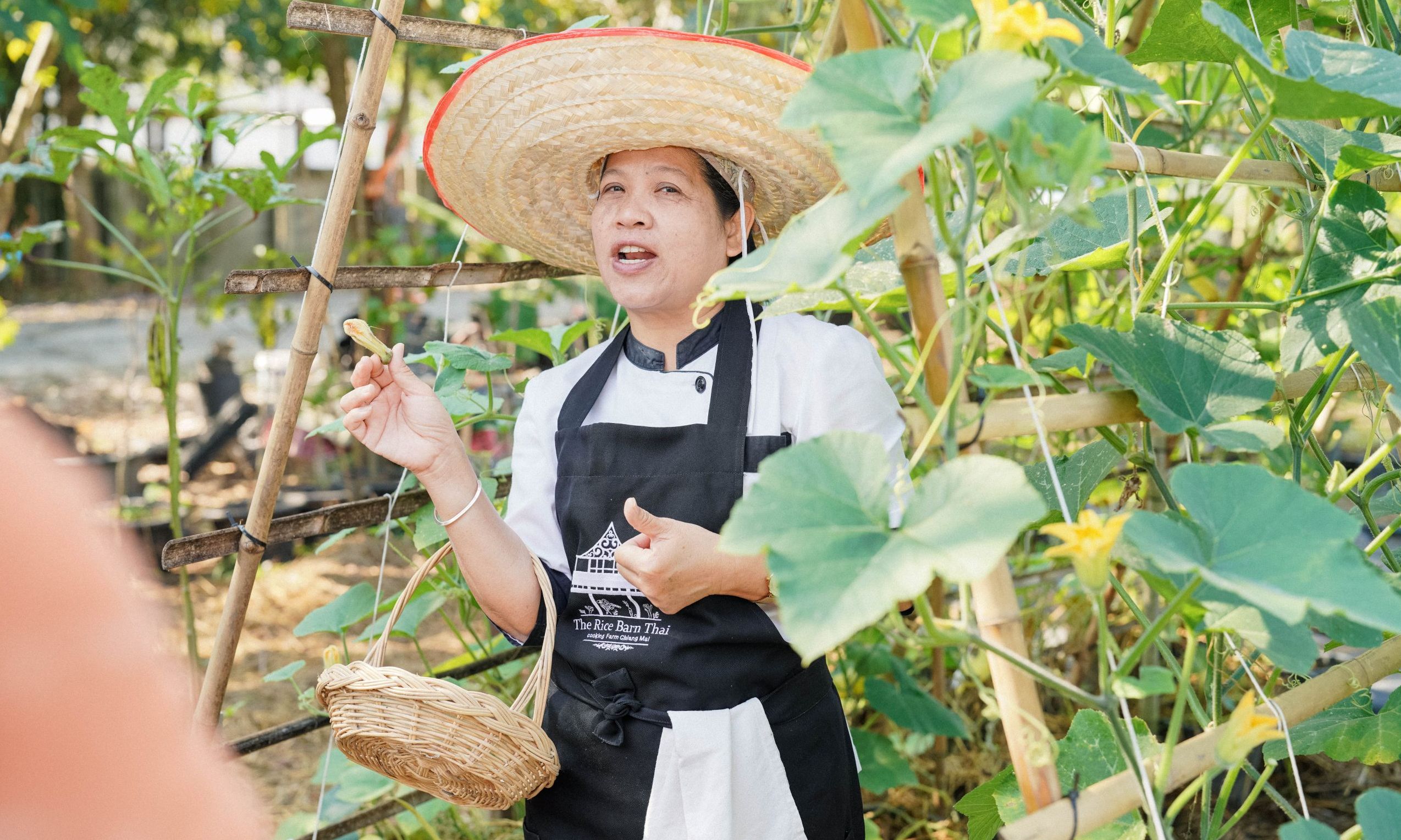 Cooking class Thailand