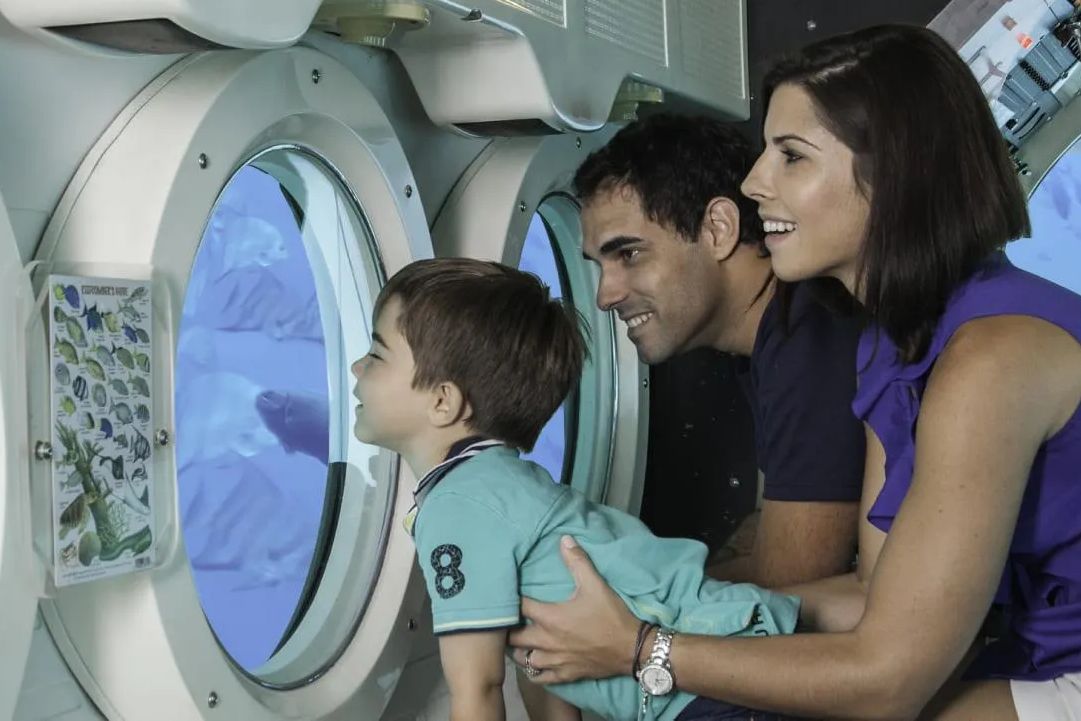 Barbados Atlantis Submarine Underwater adventure