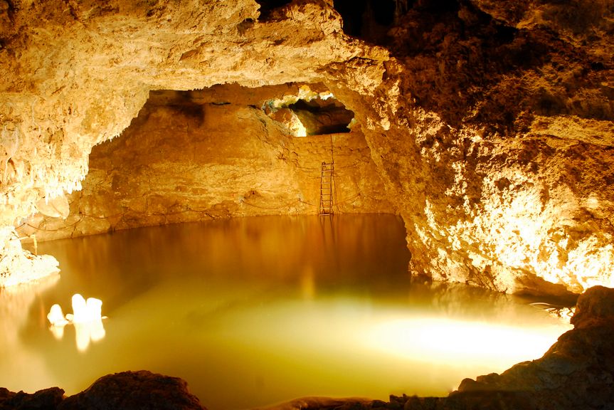 Barbados Harrison Grot