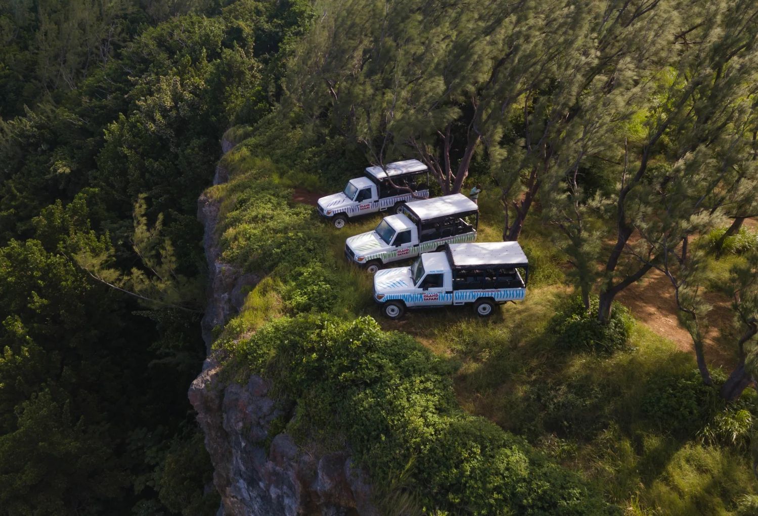 Barbados Island Safari