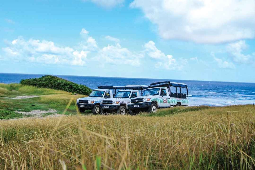 Barbados Island Safari