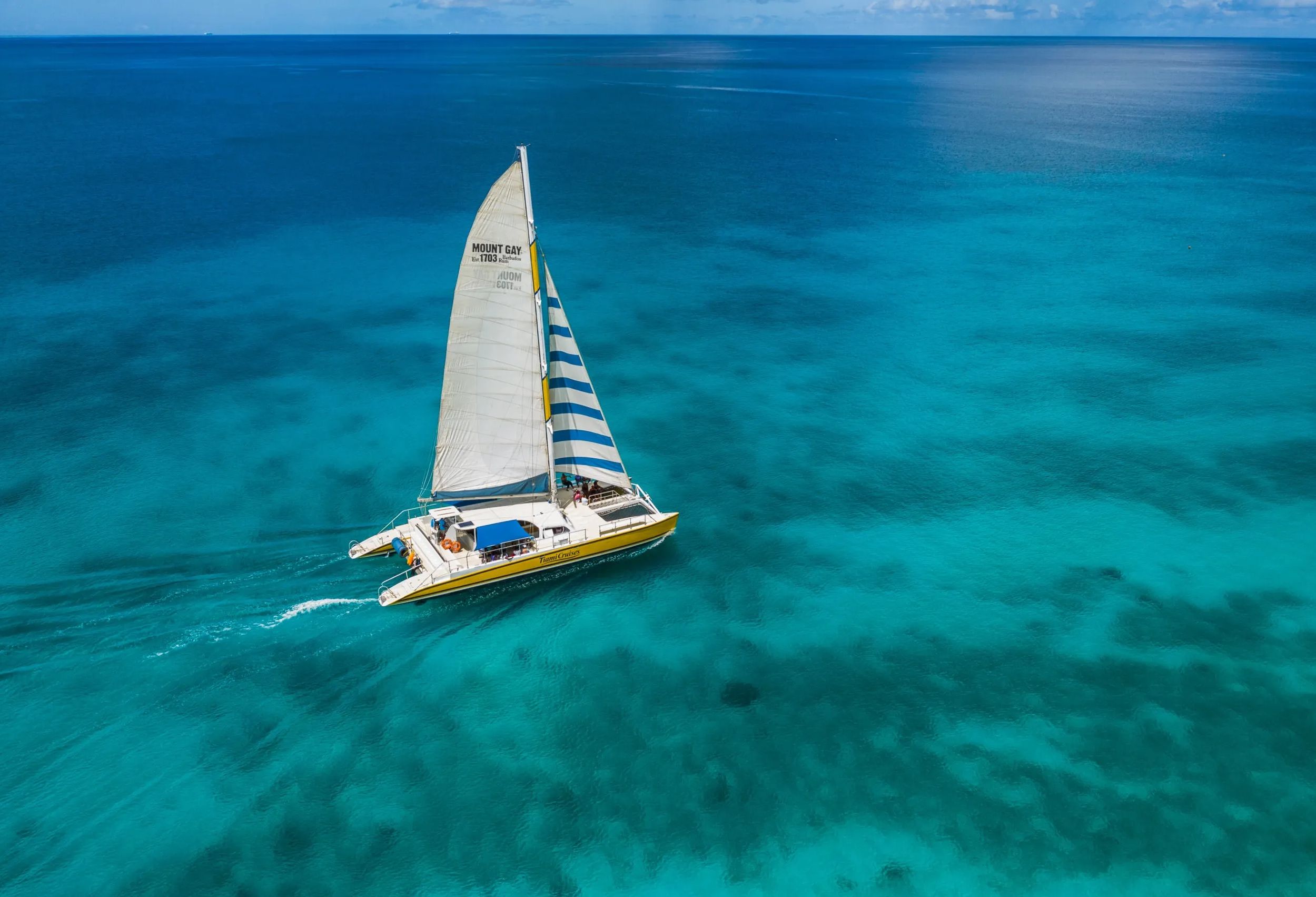 Barbados Catamaran Tiami Cruise