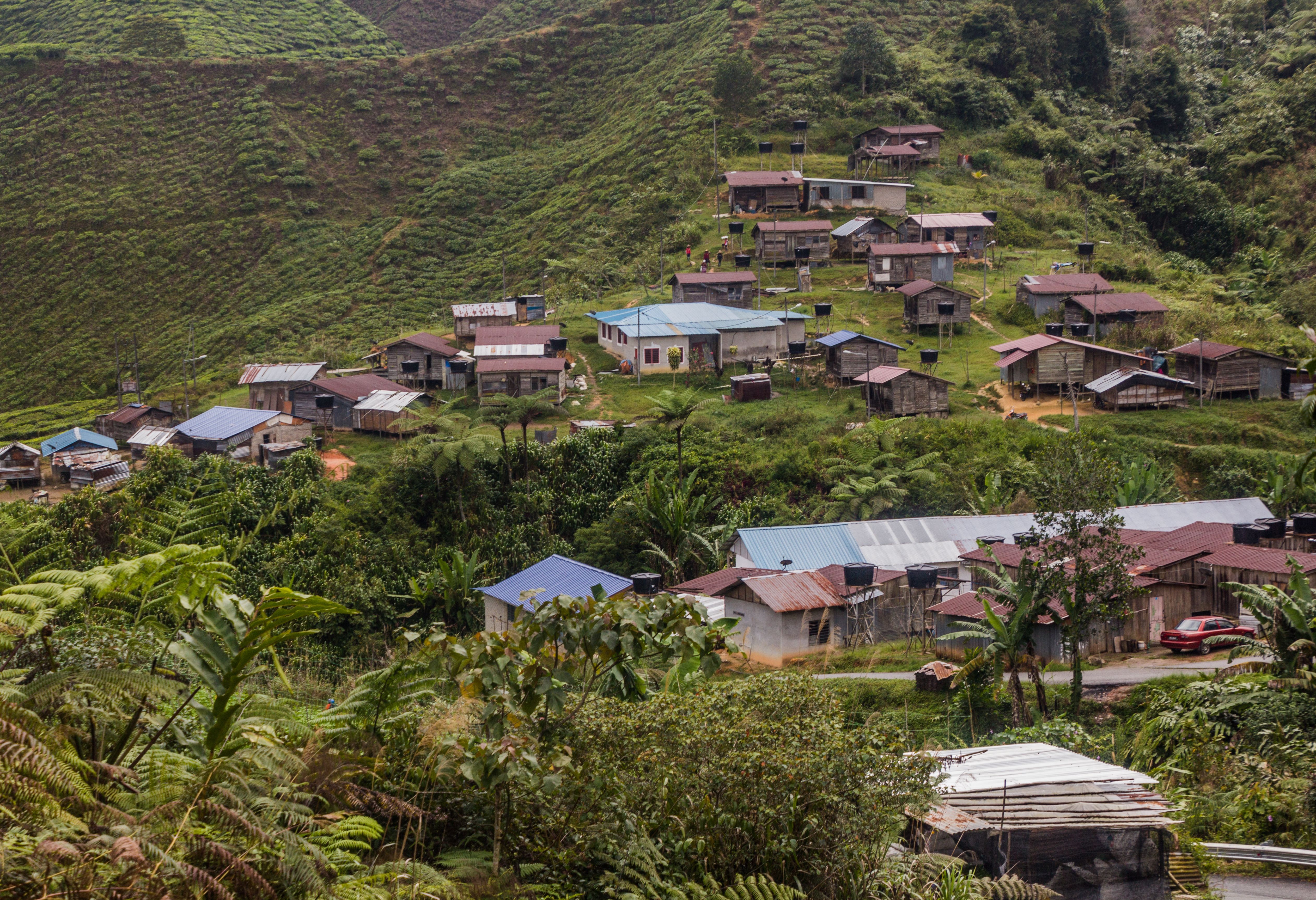 Lokaal dorpje in de Cameron Highlands
