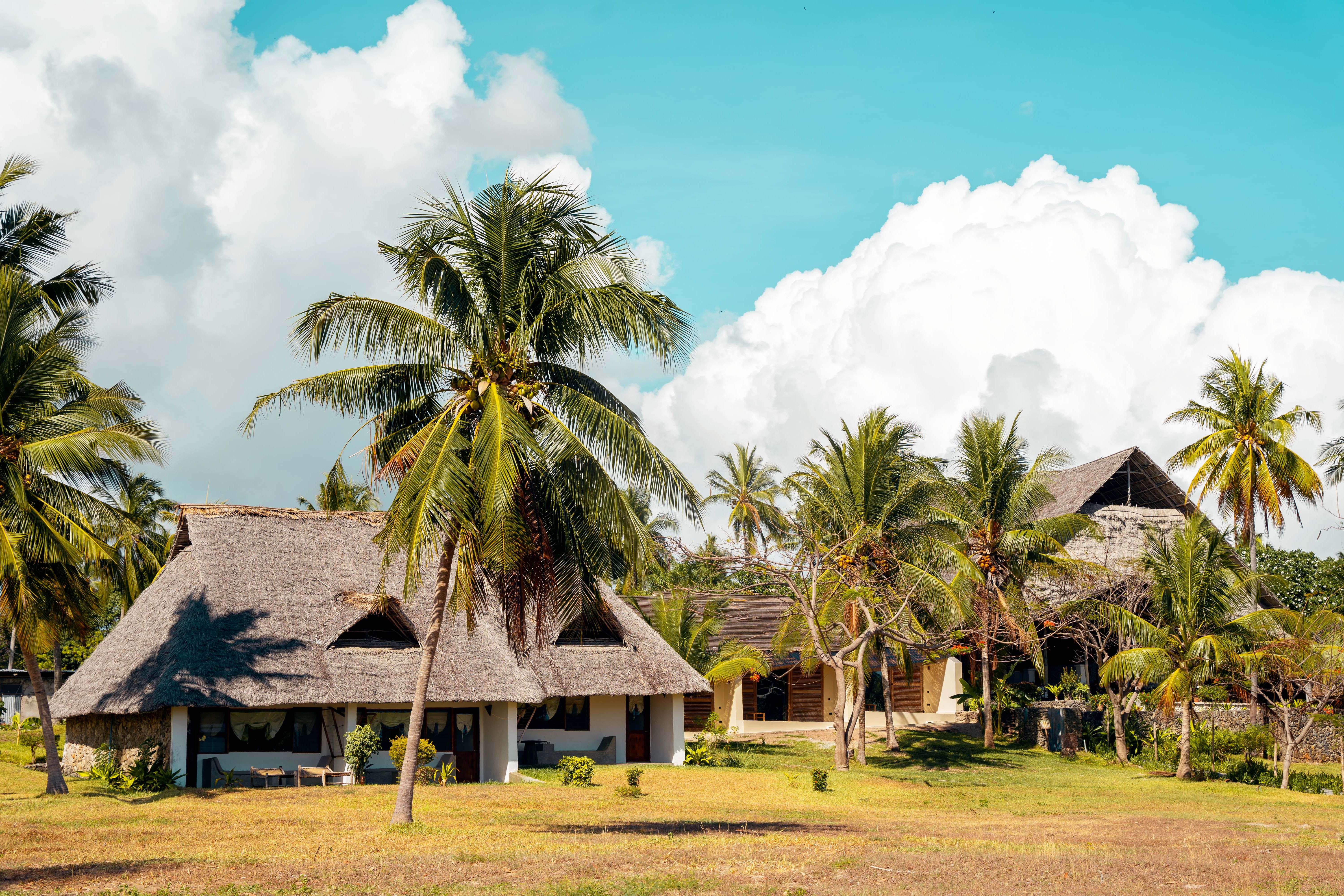 Tuin van Basecamp Mafia Island in Tanzania