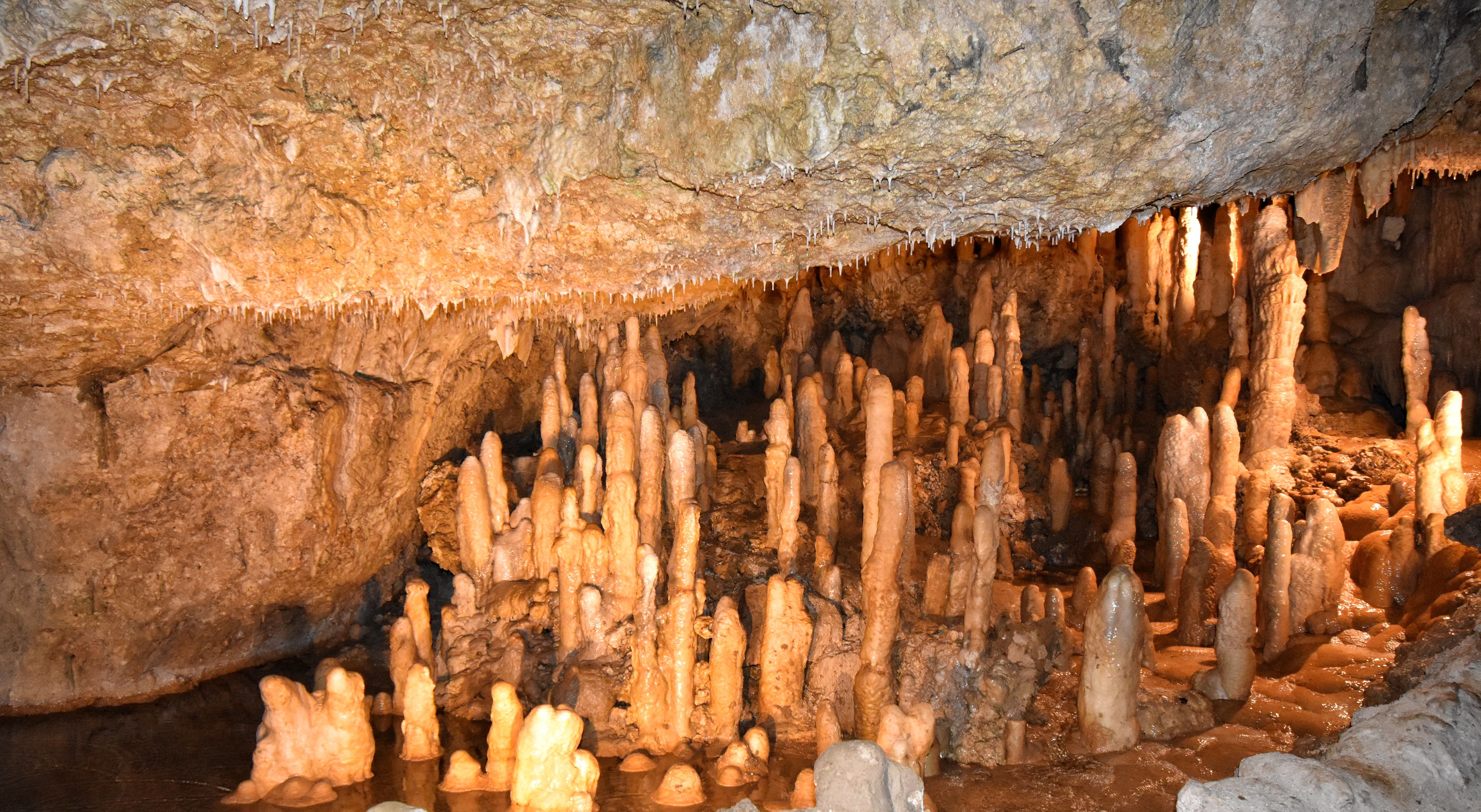 Barbados-Harrisons-Cave