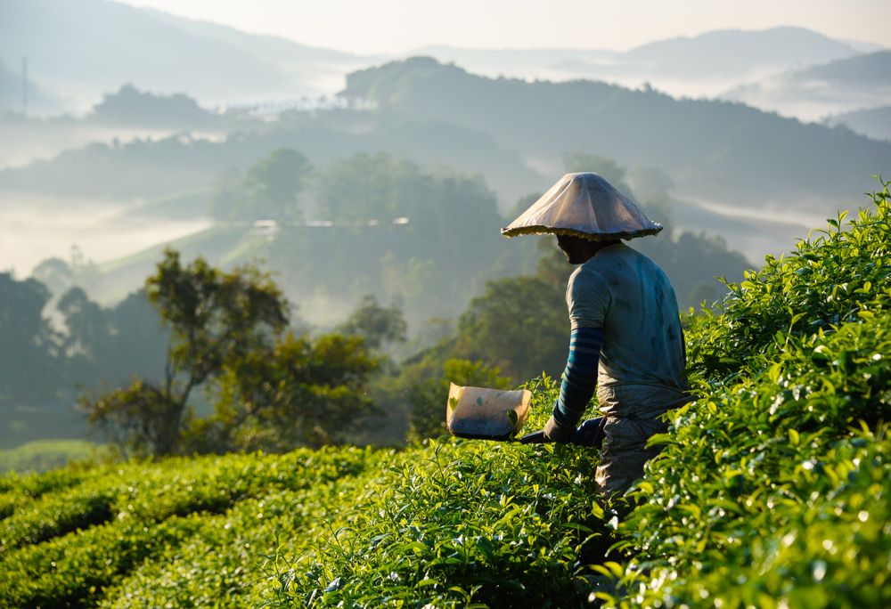 Discover Kleurrijk Maleisië